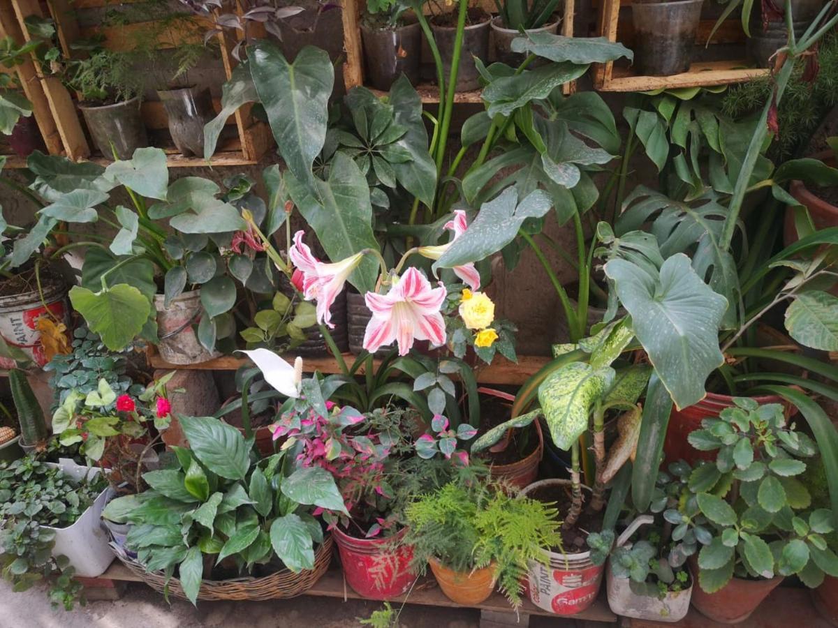 Hostal Mica Abancay Ngoại thất bức ảnh